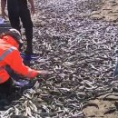 광경목장 이미지