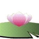 안경너머로보이는세상 이미지