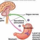 위편장쾌한의원 이미지