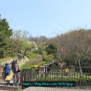 어민동산 이미지