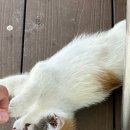 통영767 애견동반펜션 이미지