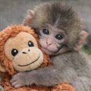 먹고보자2 이미지