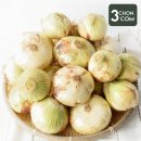 삼촌이네 농산 이미지