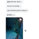 MJ프리다이빙 네이버블로그
