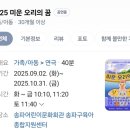 중대로 | 송파어린이문화회관 아이누리홀 미운오리의꿈 공연 아이와 꼭 가야 할 이유