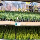 우림가든 이미지