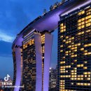 쌍용건설이 시공한거로 유명한 싱가포르 건물 화재 이미지