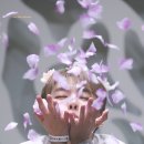 솔로아트 이미지