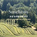 11545-02-08-67 | 보성 녹차밭 여행, 대한다원 관람코스 추천, 꼬막정식 보성여관 거쳐 순천 숙소까지