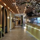 도쿄하나 사당점 이미지