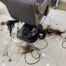가토헤어