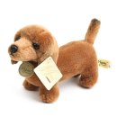 오로라월드(주) 이미지