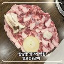 487 | 대전 탄방동 뒷고기 맛집 숯불털보 다녀온 후기