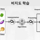 비지핸즈