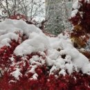 마포-현장-마포-1600 이미지