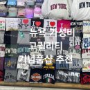 진심INC | [여행] 여기는 진심 저만 알고싶어요🤫 뉴욕 기념품샵 nn개 돌아다니고 결론 내린 가성비 고퀄리티...