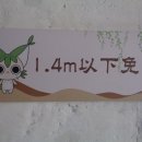 꽁시파차이 이미지