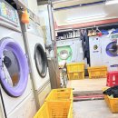 그린명품세탁소 이미지