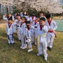 서일초병설유치원 이미지