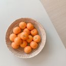 동보물산 | 12월 장보기 : 로켓프레시 + 마켓컬리