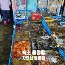 생선선생 이미지