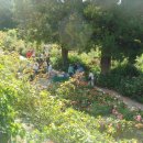 지베르니 이미지