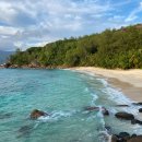 여름아, 부탁해~~ 이미지