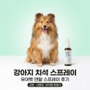 (주)아이덴탈파트너즈 | 강아지 치석 유어펫 덴탈 스프레이 후기(쓰는 법·부작용)