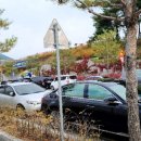 천년숲서로(동) 이미지