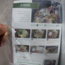 광준농장 | 6월 아이디어스 구매♥추천인코드 소개 SKE927