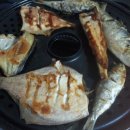 바다와푸른솔