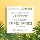 살롱 드 비숑 이미지