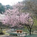 지리산풍경펜션 이미지