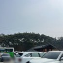 송강식당자판기 | 쌍교숯불갈비 담양 본점 주차 웨이팅 꿀팁