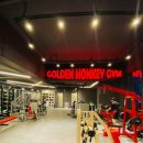 골든몽키짐 플래티넘 sky 이미지