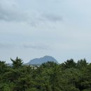 환상숲곶자왈공원 티스토리