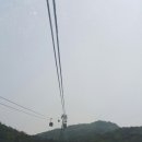 나폴리식당 - 동대문구 이문로9길 105 | 나폴리식당