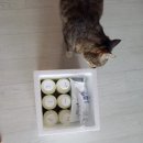 숲속산양목장 이미지