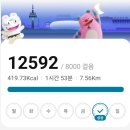 합천황매산, 모산재기적길 (2026,05,09) 이미지