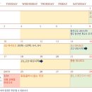 대시나루