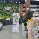 율마로 | 장엉엉의 김포 상아쿠아 후기/물고기/수초