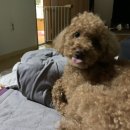 정현농장 | 수족냉증의 계절 스타뚜