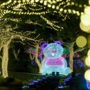 제주허브동산 이미지