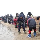 해평초교 이미지