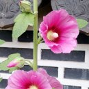 2025년 6월 15일 누리공원과 송도 국제캠핑장 외... 이미지