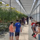 부여 서울농장 이미지