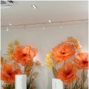 에어메디플러스 | 더쎄라X뷰티플러스 본사교육 후기