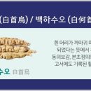 건강관리아로마 이미지