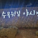 수목원 | 제주 연동 수목원길 야시장 후기