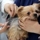 동울산동물병원 이미지